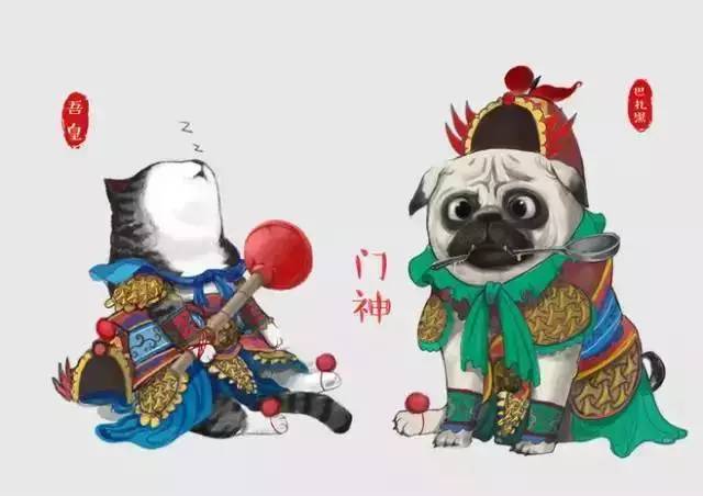 盘点十大网红萌宠,盘点全网6只网红萌宠