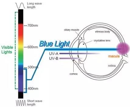 德普戴着黑色小眼镜,德普戴眼镜片段