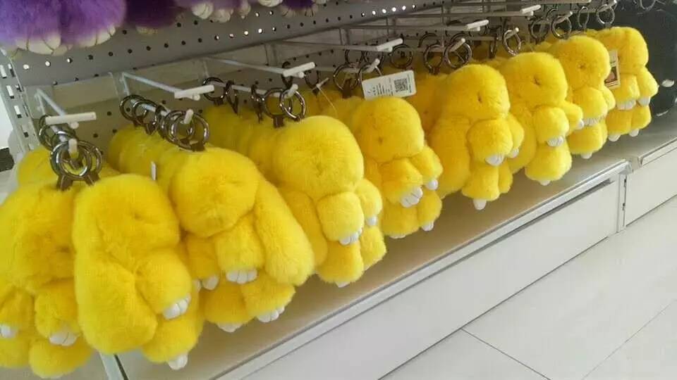 小兔子乖乖花了多少钱,小兔子乖乖幸福成长