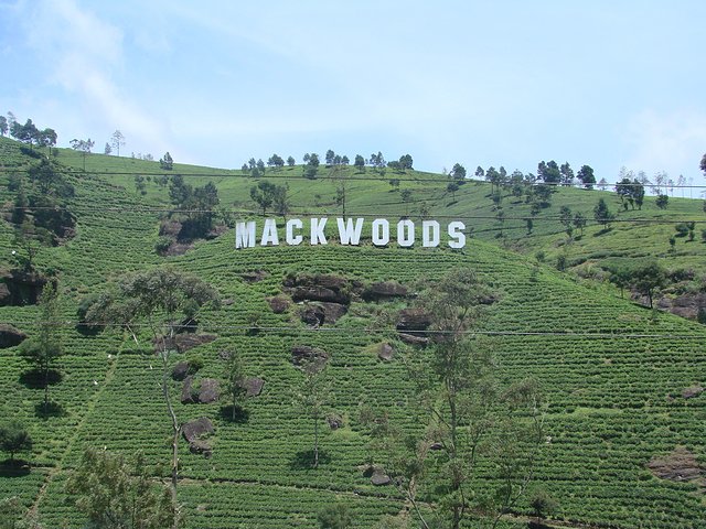 在斯里兰卡旅游必做的10件事,在斯里兰卡的难忘旅行经历