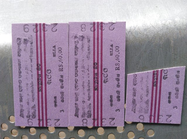 在斯里兰卡旅游必做的10件事,在斯里兰卡的难忘旅行经历