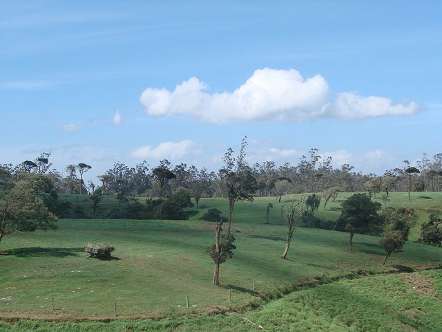 在斯里兰卡旅游必做的10件事,在斯里兰卡的难忘旅行经历