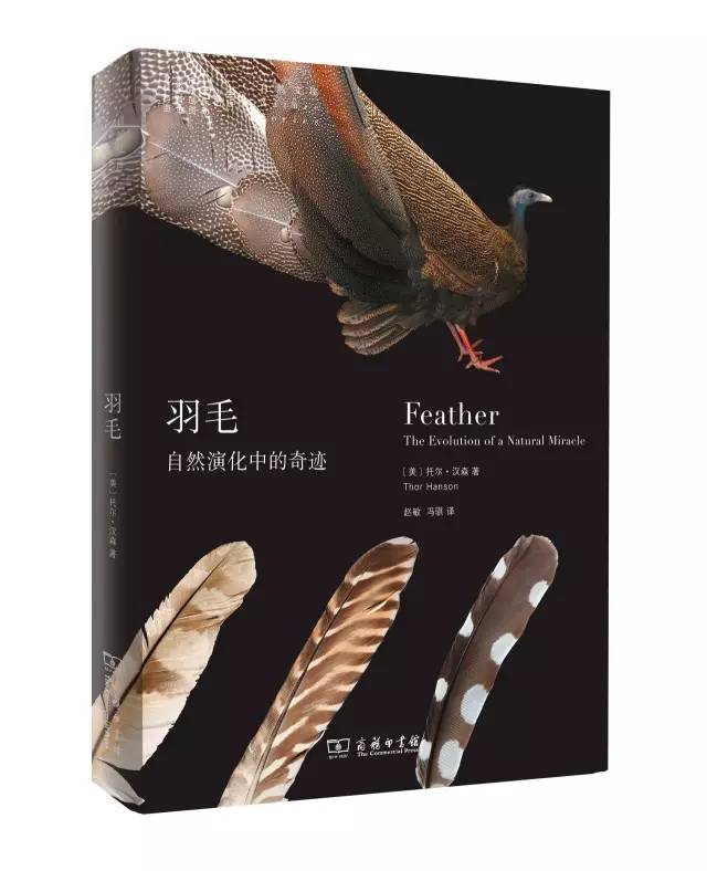 经典的书籍推荐100本好理解的书,北大公认100本好书