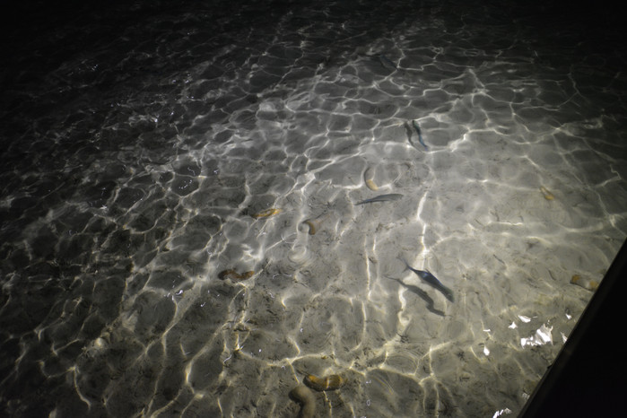 马尔代夫哈库拉岛好不好,马尔代夫哈库拉岛6日自助游