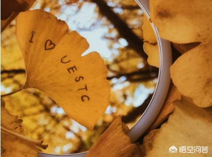 电子科技大学是985吗全国排名,电子科技大学在985里算什么水平