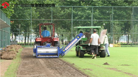 南京奥体中心是专业球场吗,南京奥体中心体育场为啥横开