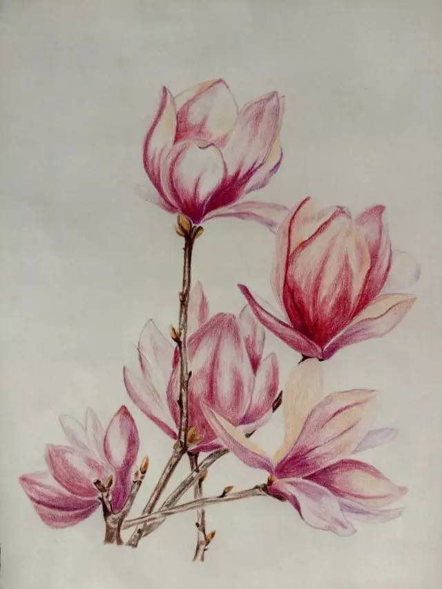 不要忘了我粤语,不要忘了我韩语歌曲