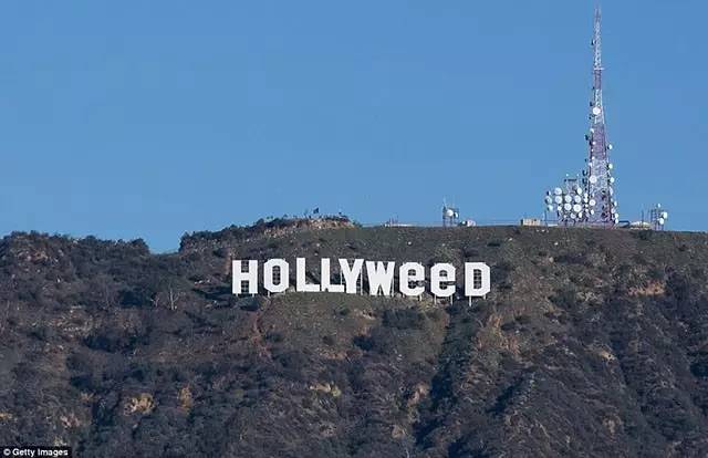 撒盐宝贝、斜眼鸭，上半年被歪果网友玩坏的那些梗！