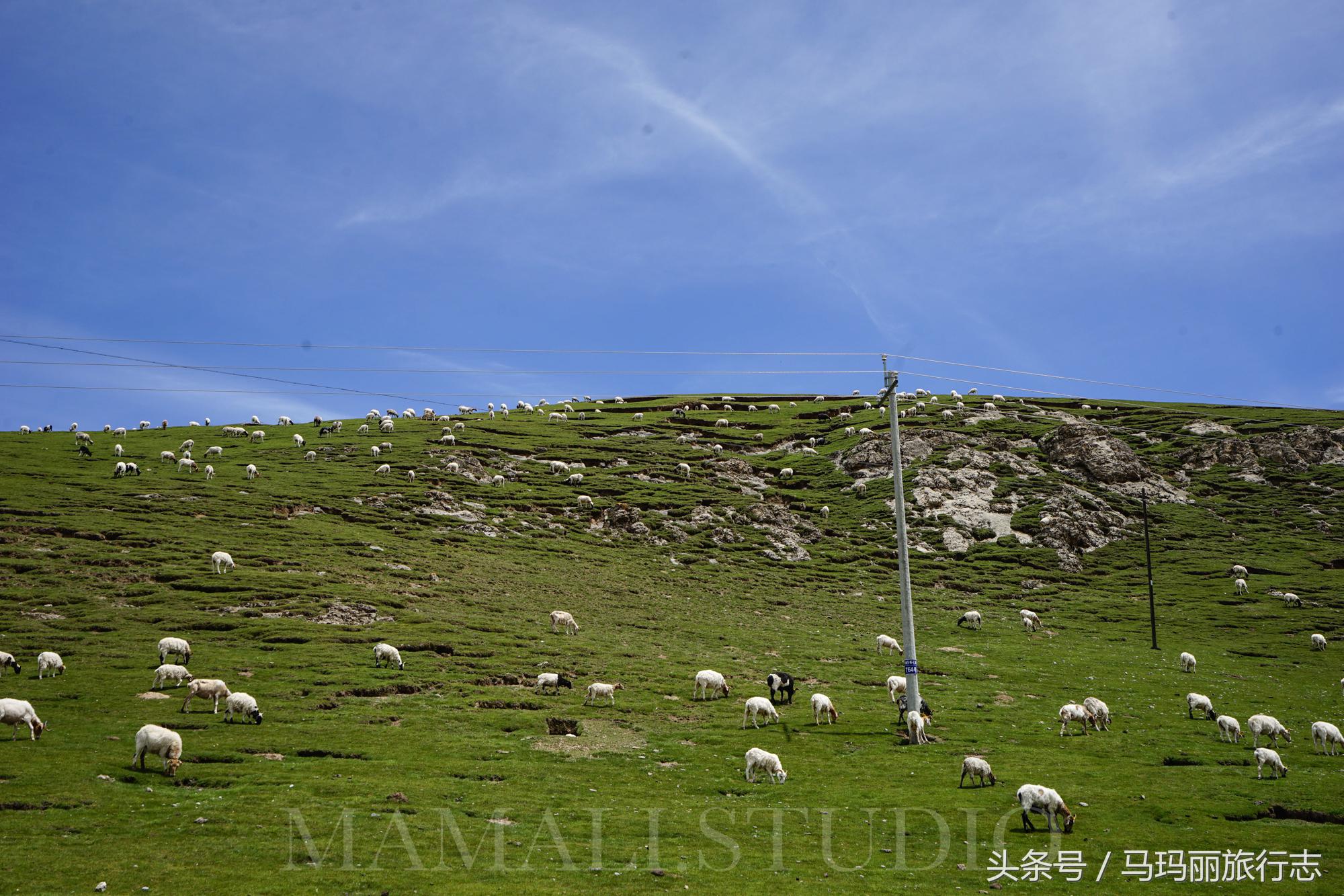 九寨沟亲子度假必选酒店,九寨沟藏羌风情酒店