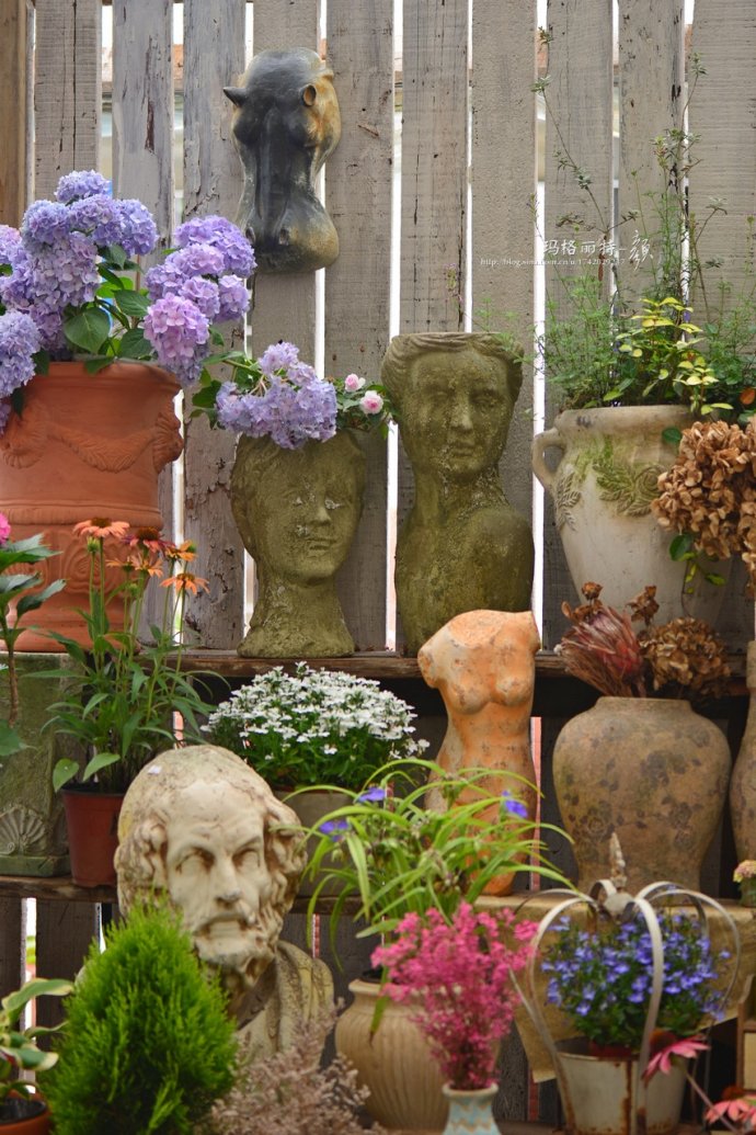 花园拜访,成都玛莉亚色彩花园电话