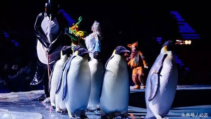 珠海到广州长隆游玩攻略,珠海长隆海洋王国寒假游玩攻略