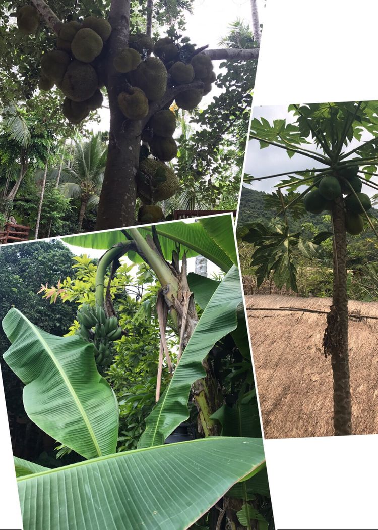 三亚自由行,三亚海鲜海旅