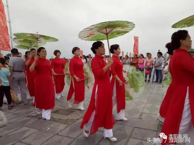 中国淮阳荷花节游龙湖赏荷花,欢迎大家来淮阳龙湖赏荷花