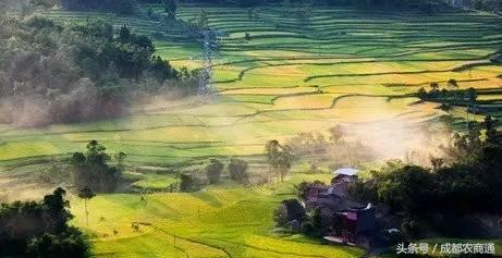创业门道：国内外都走红的“田园综合体”未来很风光