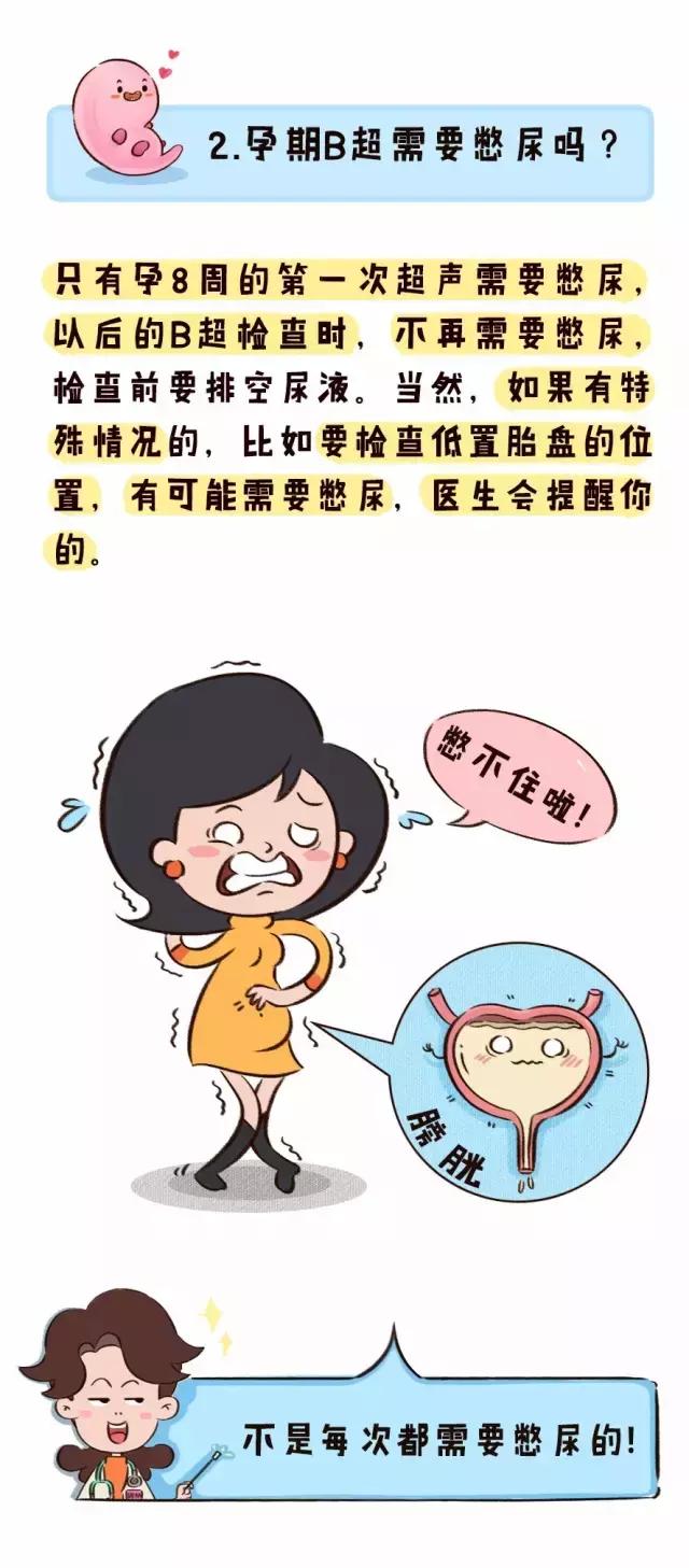 孕期b超各数据的意思,孕期经常查b超有问题吗