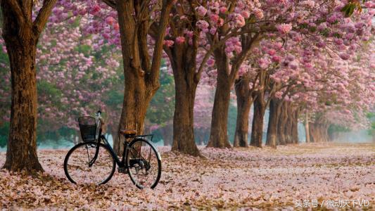 旅游微信小程序项目资金,旅游微信小程序开发价格