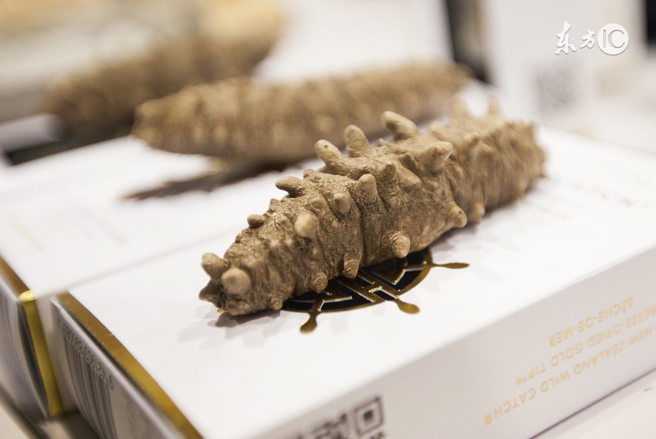 进口海参为什么比国内便宜,进口海参可以放心购买吃吗