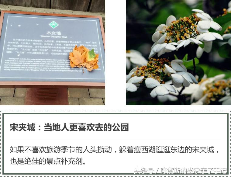 扬州上个世纪的繁华,扬州曾经繁华的地方