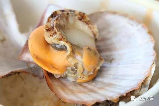 青岛毕业旅行三日游,毕业旅游自由行攻略