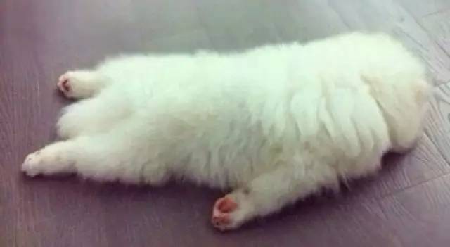 司法拍卖成功可以代取吗,司法拍卖文书可以邮寄吗