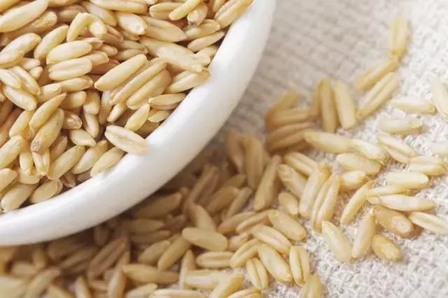 燕麦推荐真实测评,燕麦测评视频