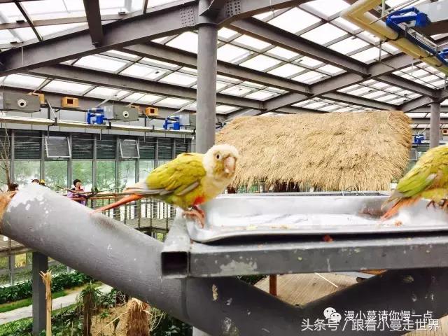 高淳去南京玩,高淳看荷花