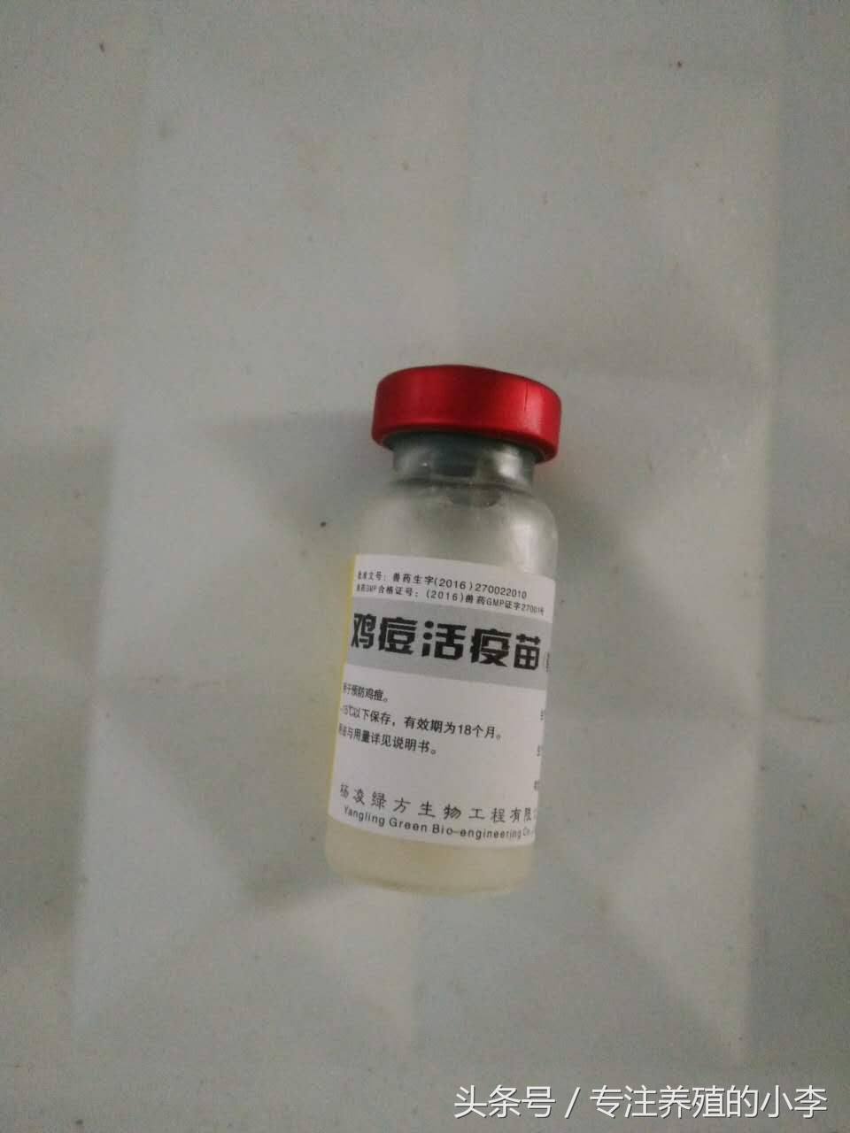 夏天农户养鸡注意事项及防治,夏天养鸡如何防蚊蝇呢