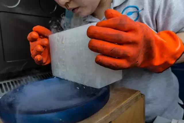 狗生如梦｜ONE实验室