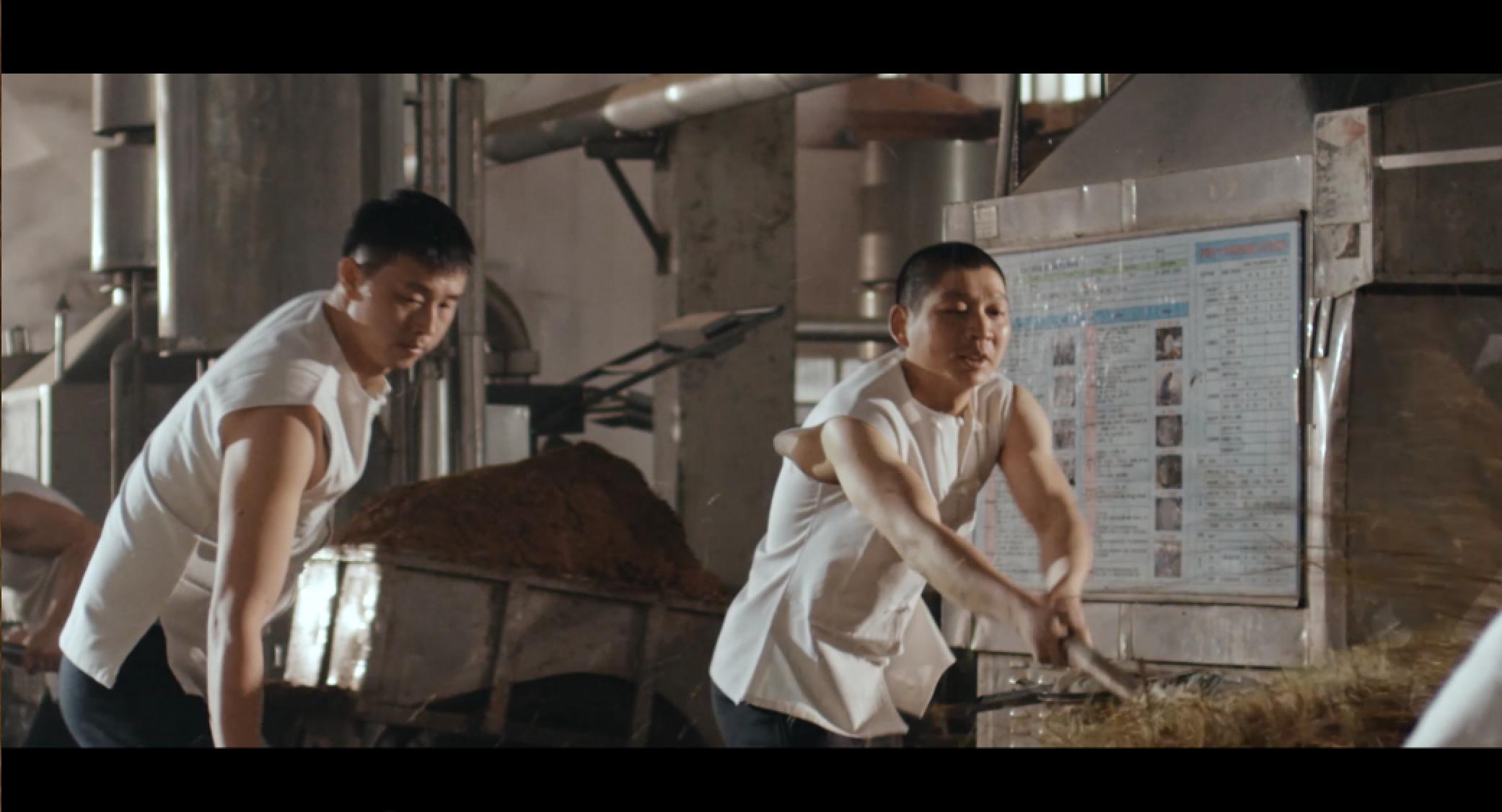 酿酒大师?谈不上,我只是个对酿酒存着敬畏之心的酿酒工