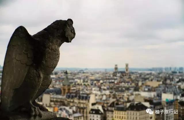 有惊无险大难不死,有惊无险现场完整版