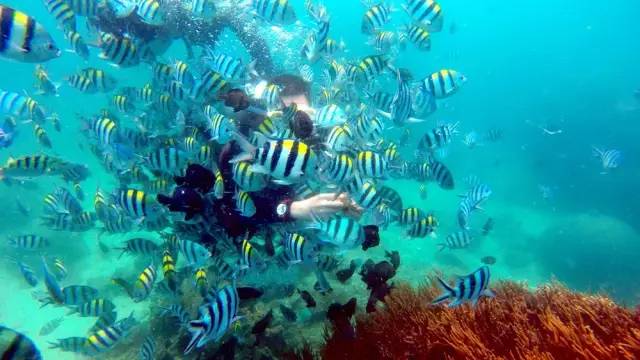 三亚潜水攻略大全,三亚怎么才能自由潜水