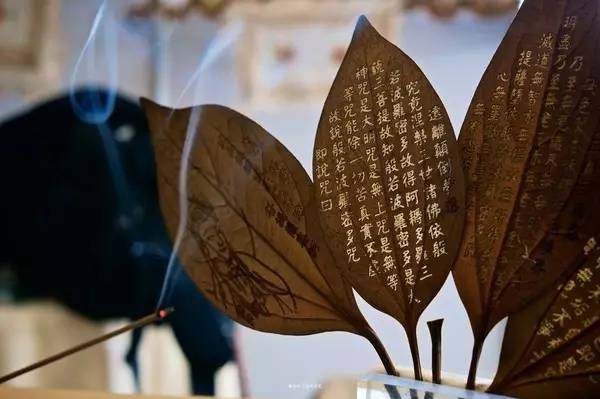 茶传媒专访｜茶香界教育家乔木森，这位65岁的老茶人，为何让我们三度落泪？