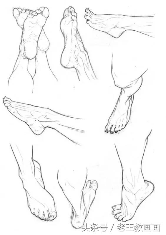 教100个零基础小白画画,100个适合零基础学习的画画教程