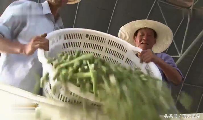 绍兴臭豆腐臭水太咸了怎么办,绍兴臭豆腐像下水道的味道