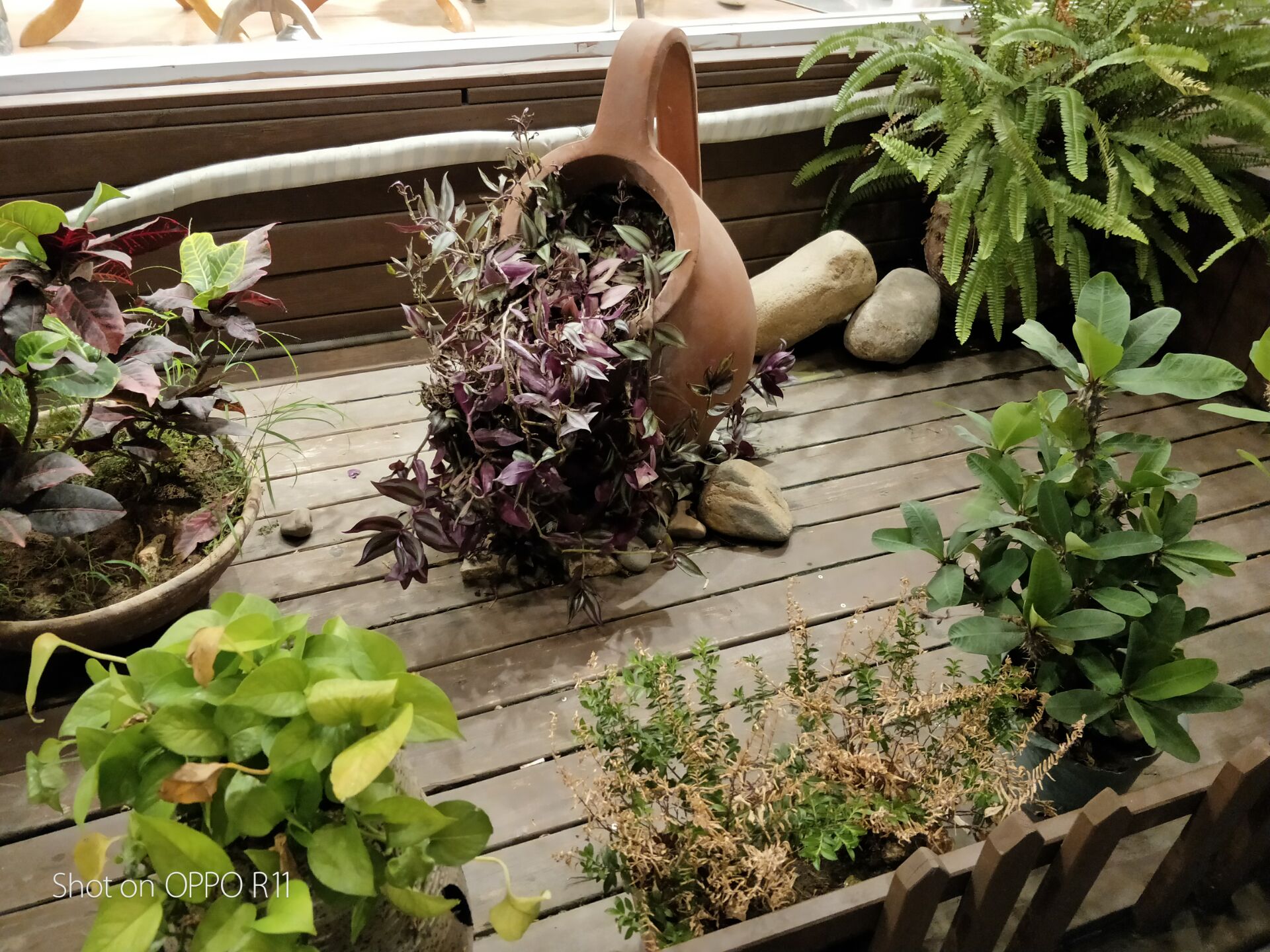 oppor11手机性能评价,评价oppor11s