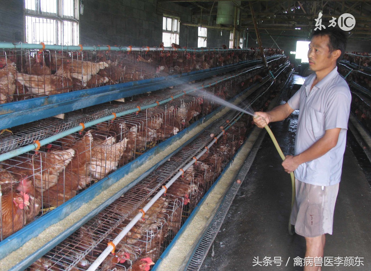 养殖等于闯关、这些关你闯过去了吗？