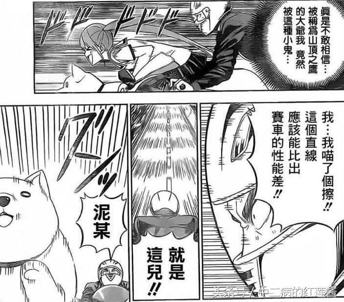 《笨女孩》被一个笨蛋带坏的小镇,唯独这条狗全面过人