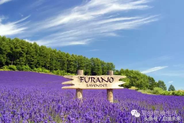 这个暑假是去墨西哥还是大不列颠,这个暑假可以去日本吗