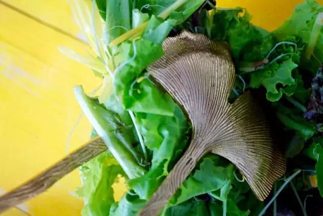 满心欢喜地等了这个快递整整1个月，却在拆开包装的瞬间傻了眼