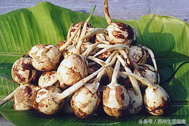 车坊，遗忘的边缘！