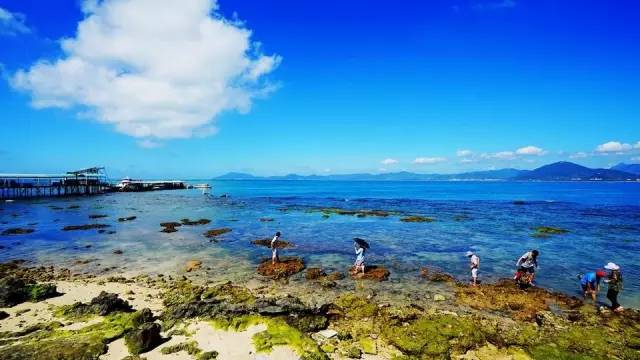 三亚潜水避坑攻略,三亚潜水新技巧