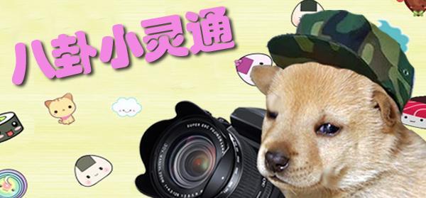 有关田亮叶一茜结婚十周年的报道,田亮叶一茜结婚十周年发文