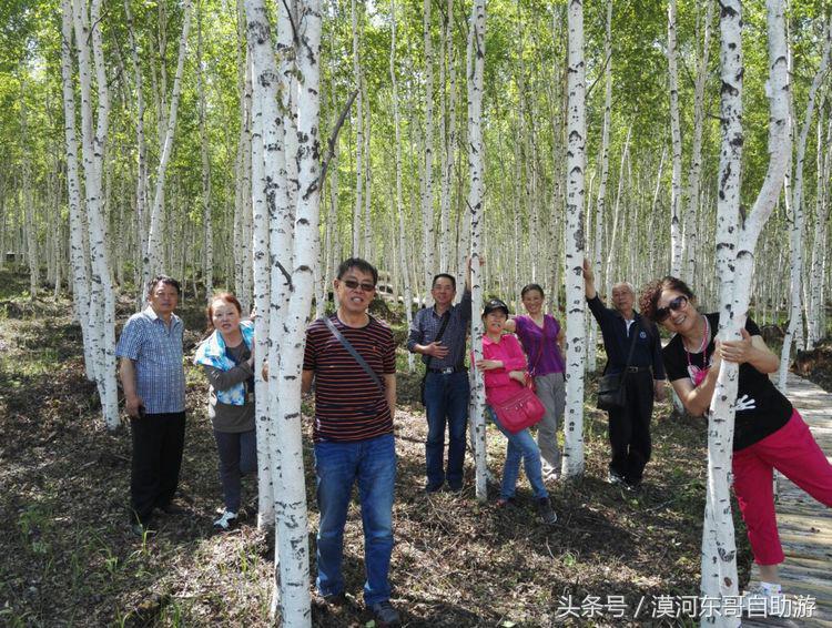 漠河市旅游包车攻略,漠河旅游包车哪里最便宜