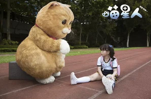 猫咪碰到哆啦a梦,猫咪碰到哆啦a梦原视频