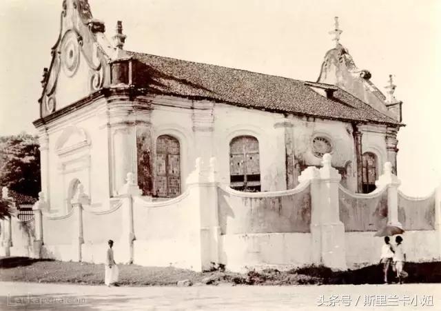 王健林海外投资靠谱吗,王健林投资瑞士新西兰