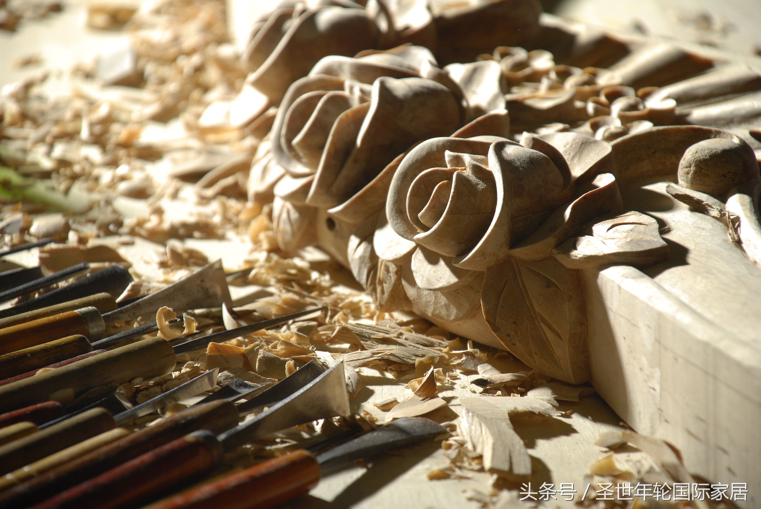 优雅是一种可以看得见的风景,优雅是一种高级美