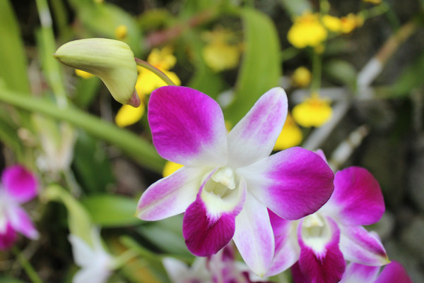 邂逅三亚绝美晚霞,来三亚邂逅绝美晚霞