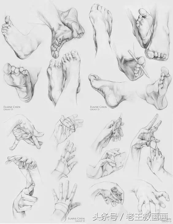 教100个零基础画画小白,零基础自学绘画入门书