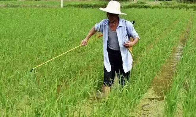 夏季喷施农药诀窍,高温喷施农药的注意事项视频