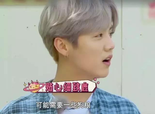 鹿晗约吧大明星谈25岁,鹿晗在节目里说想女朋友